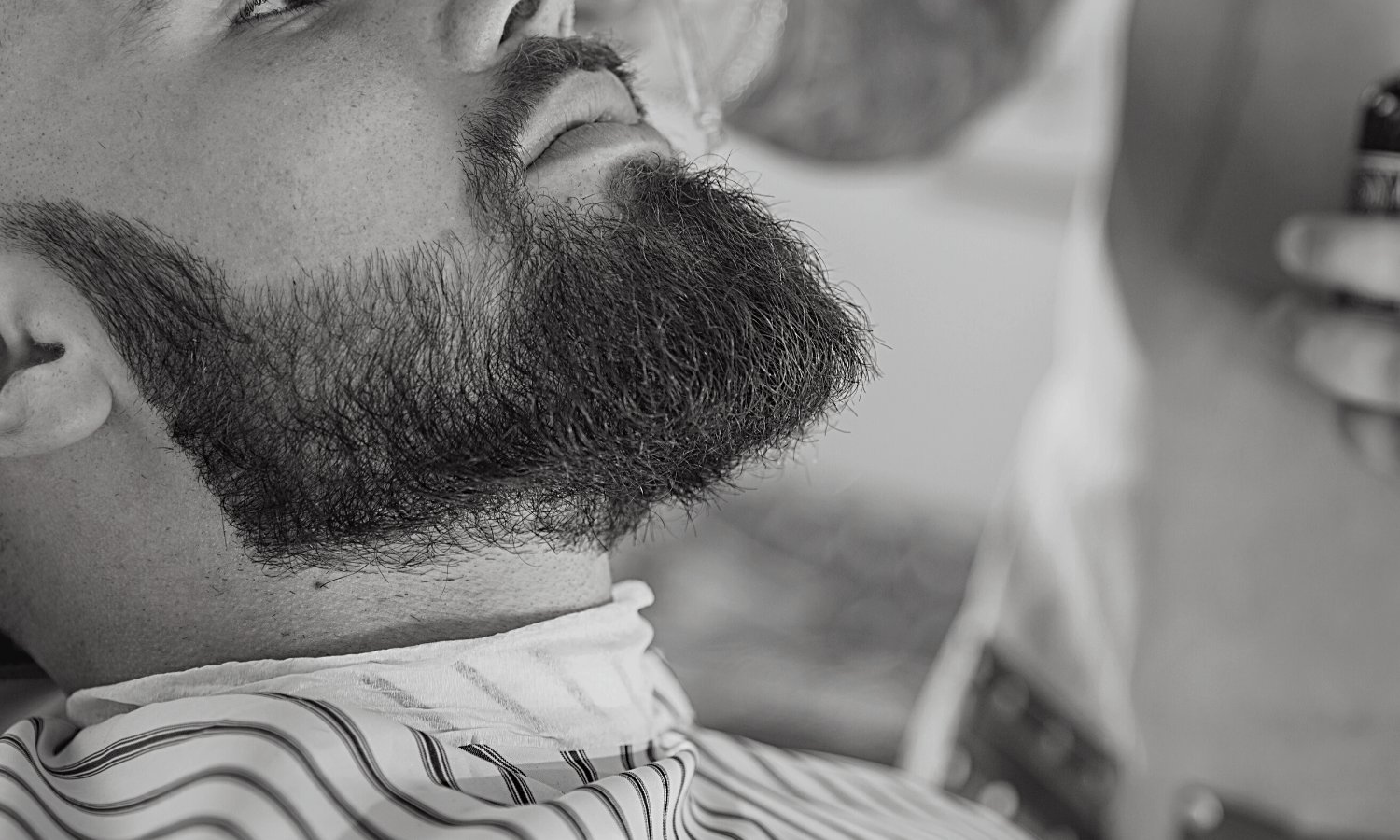 Beard Balm Vs Beard Oil – Which Is Best?