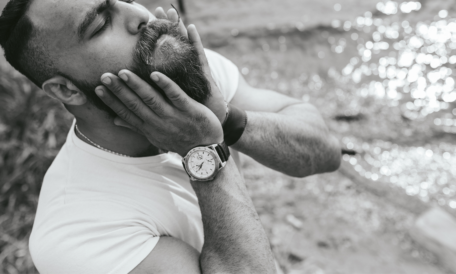how to brush your beard cover image