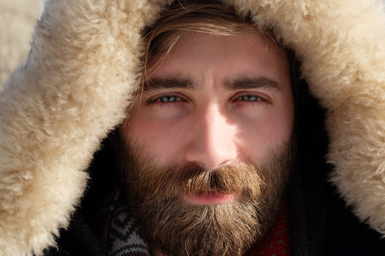 grow a beard