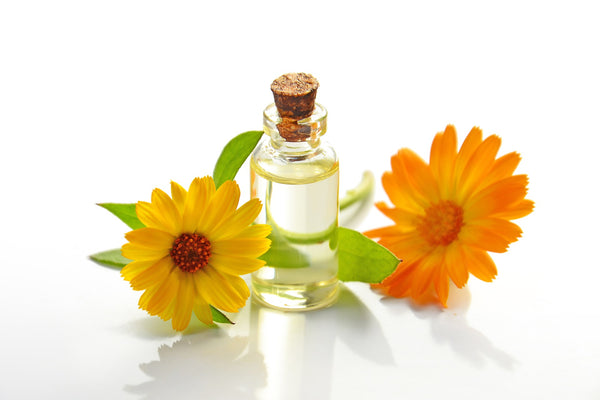sunflower essential oil